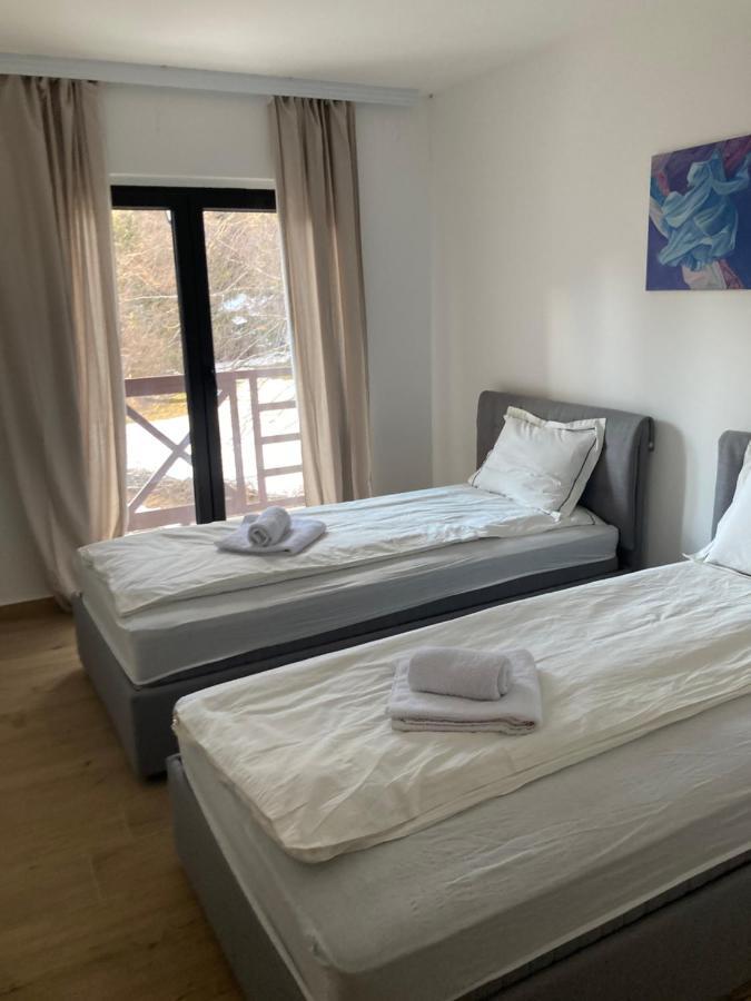 Vila Nina Kopaonik Apartment Ngoại thất bức ảnh